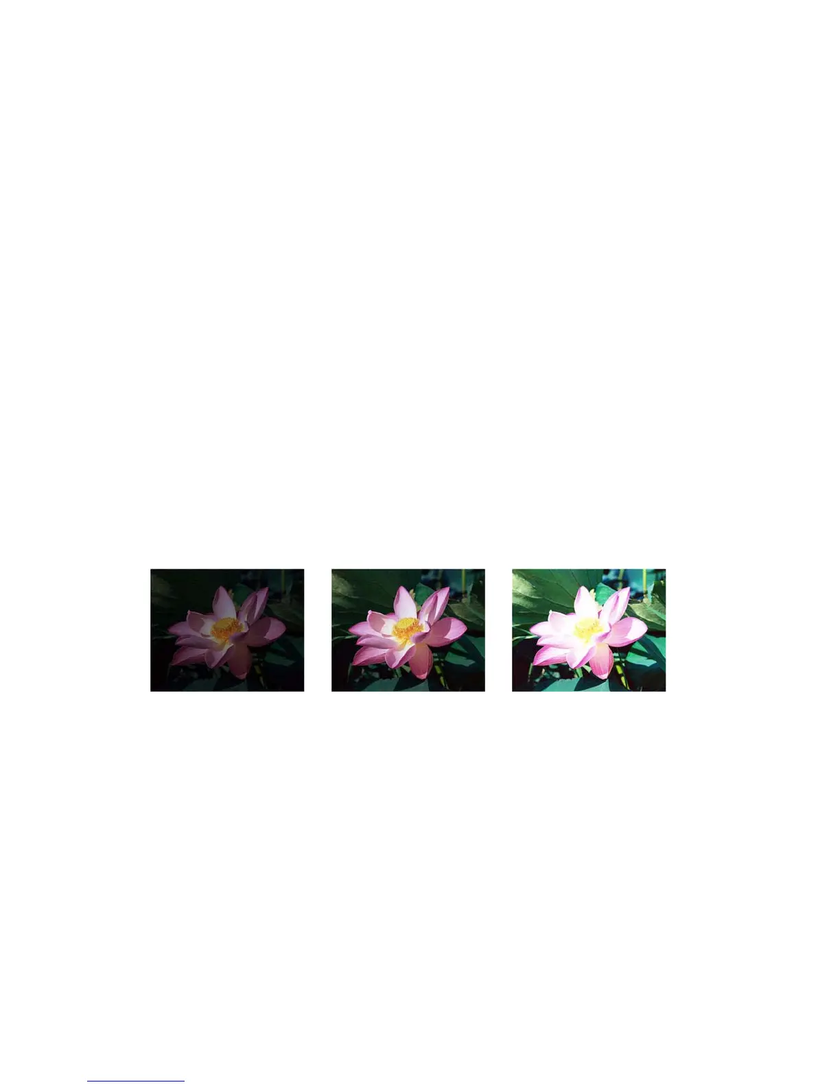 Page #144 background image