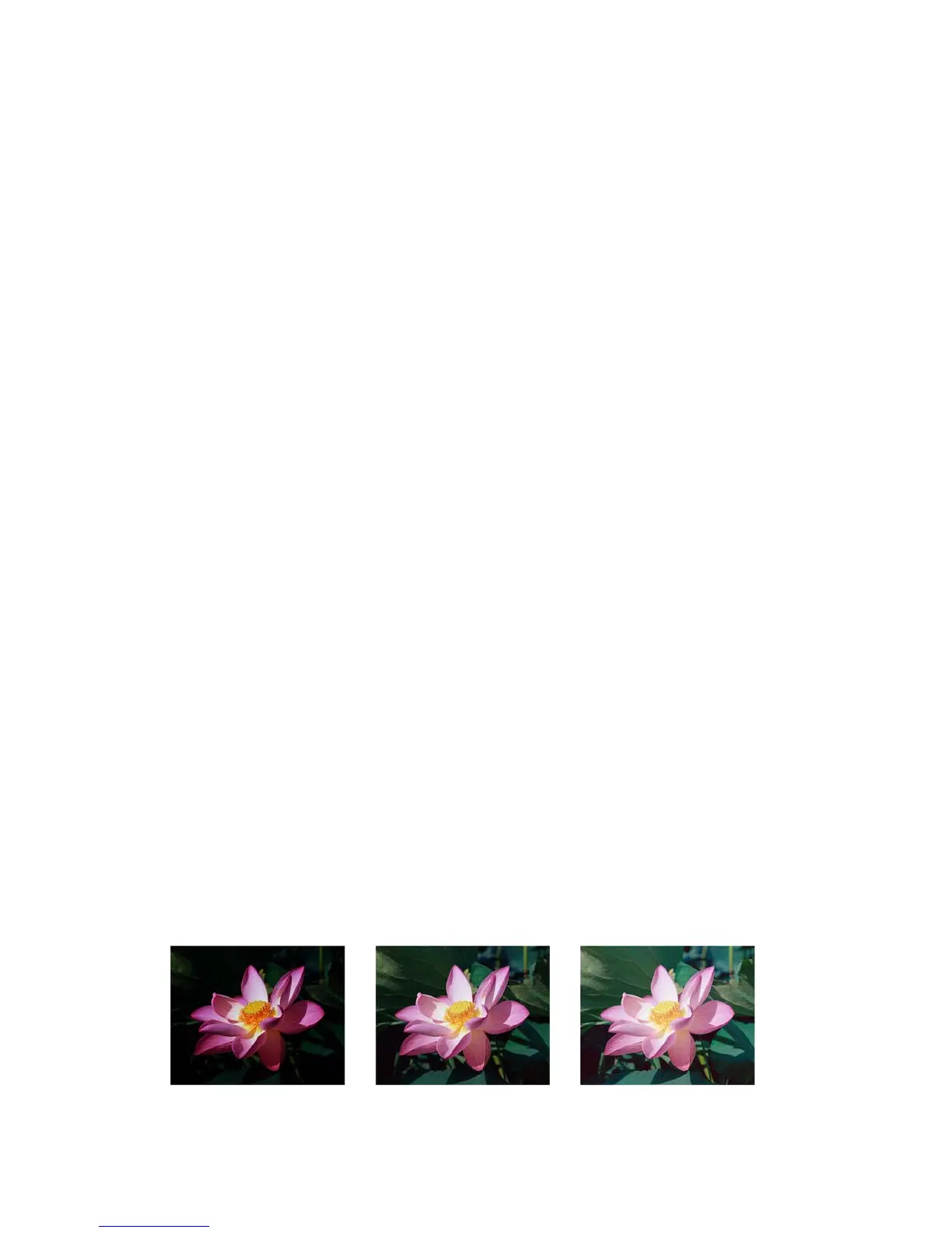 Page #146 background image