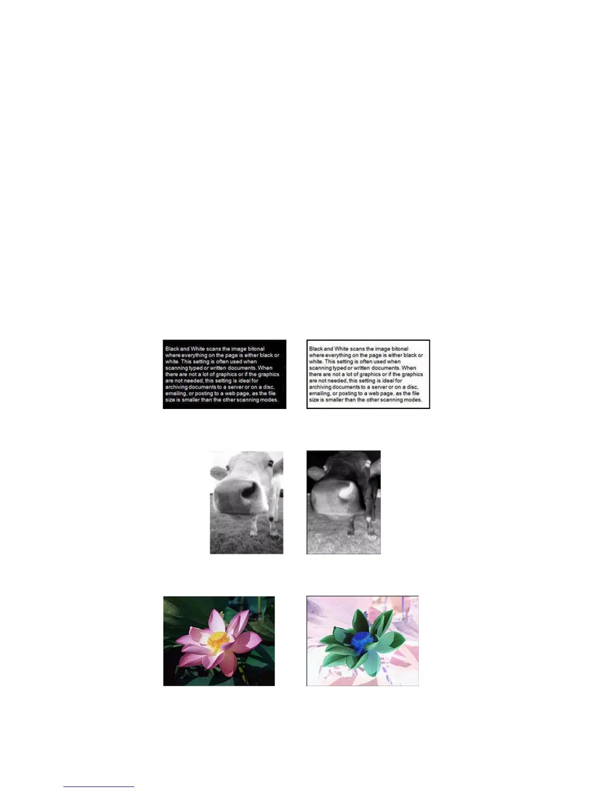 Page #147 background image