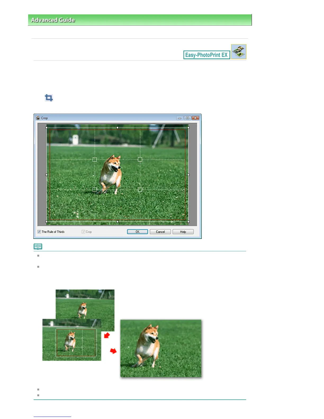 Page #217 background image