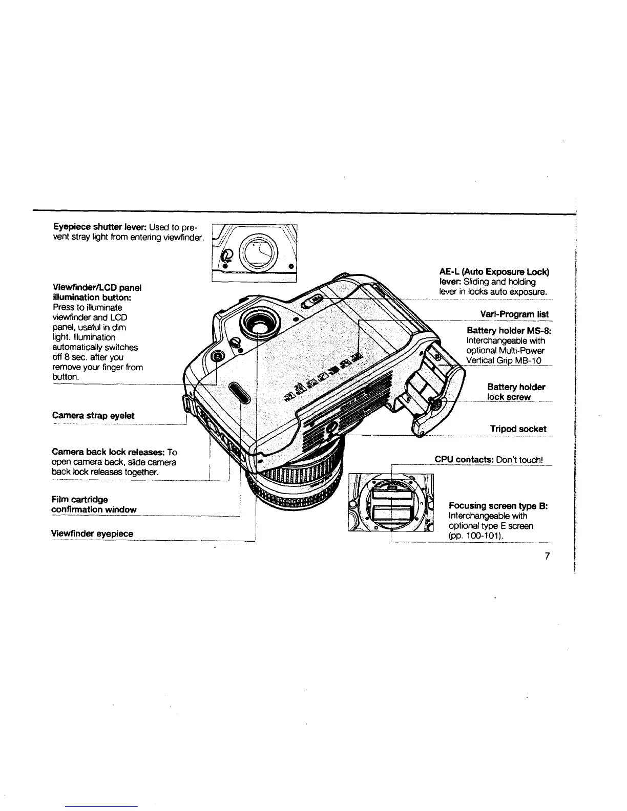 Page #7 background image
