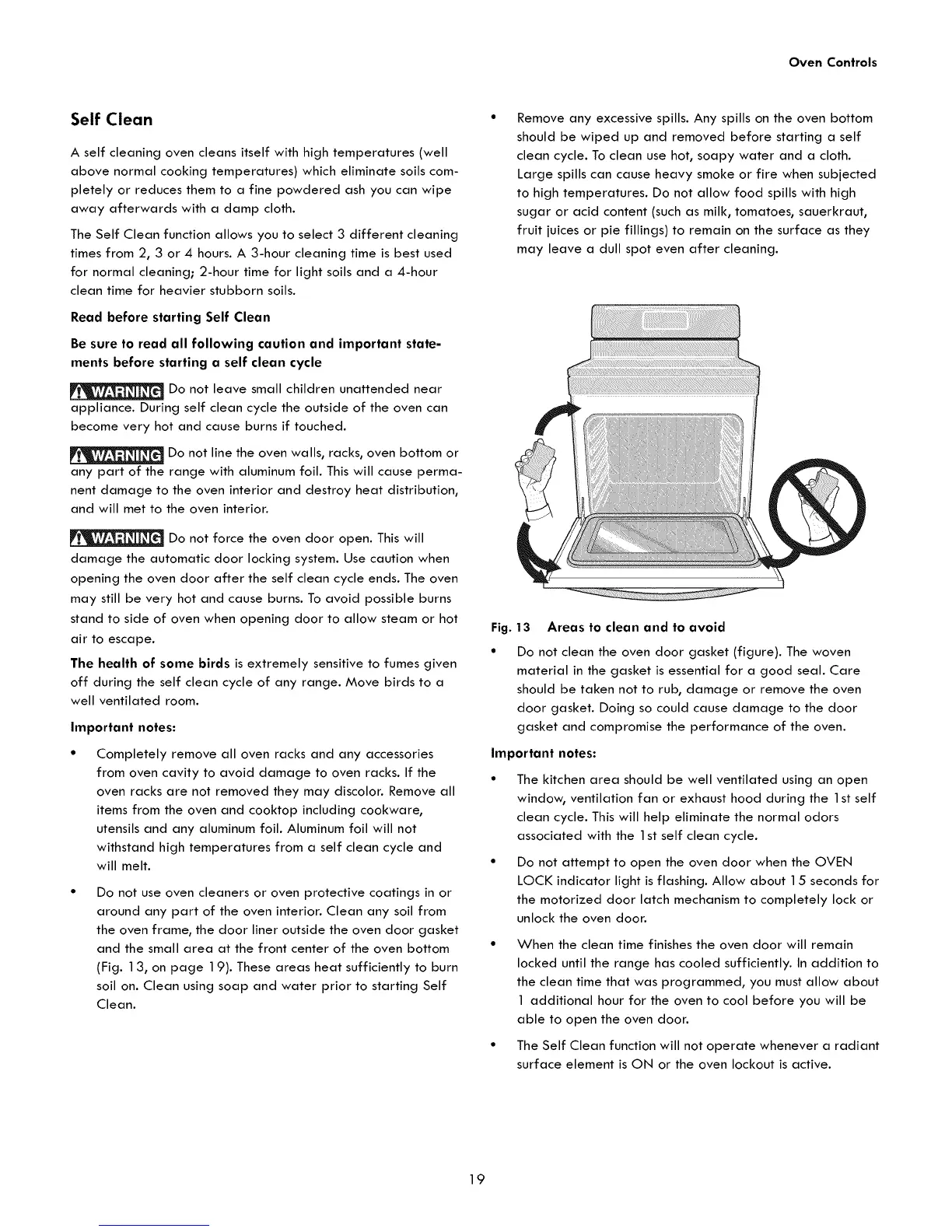 Page #19 background image
