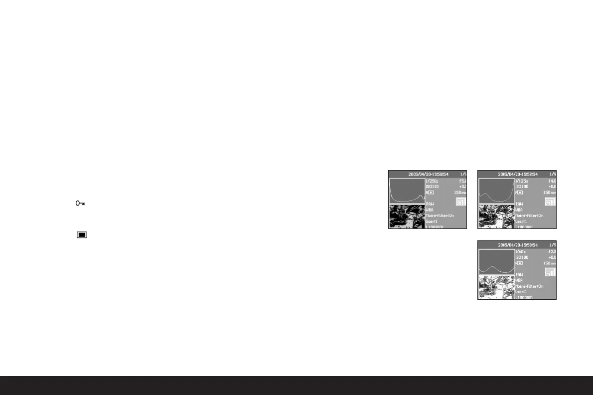 Page #26 background image