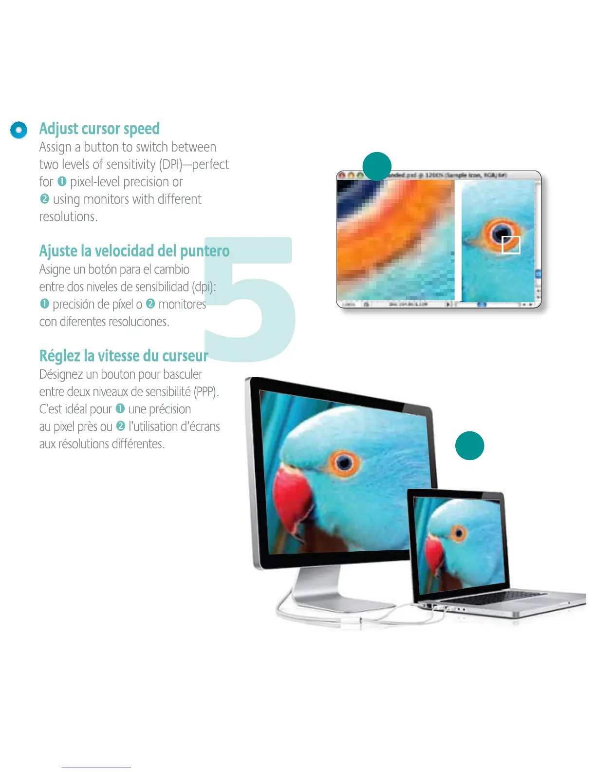 Page #6 background image
