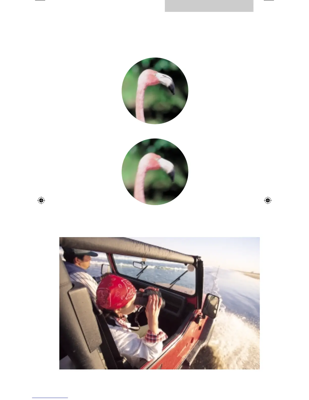 Page #17 background image