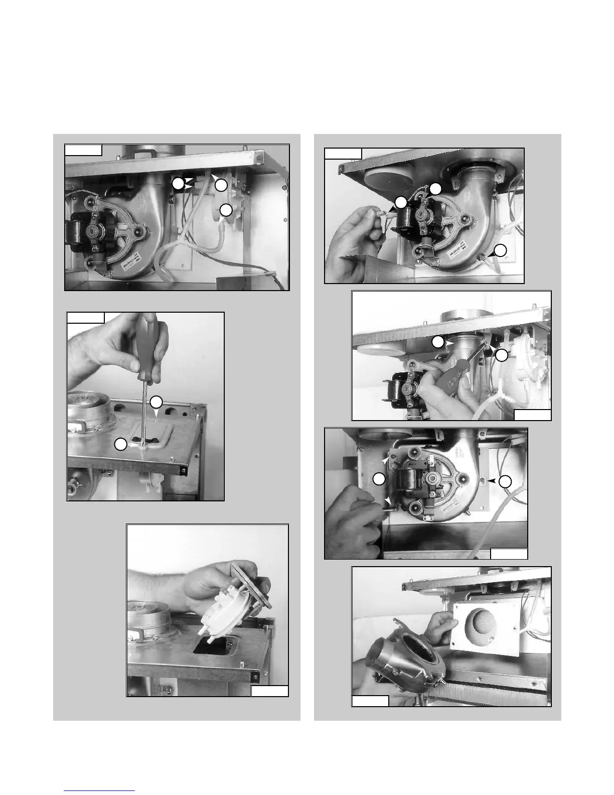 Page #7 background image