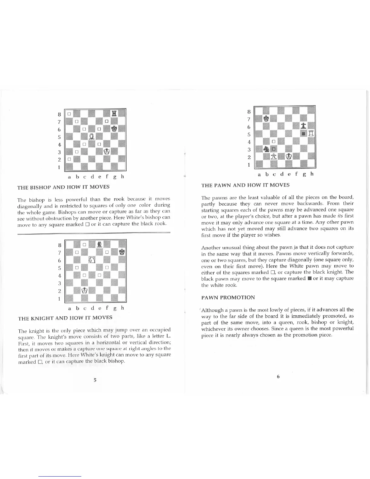 Page #8 background image