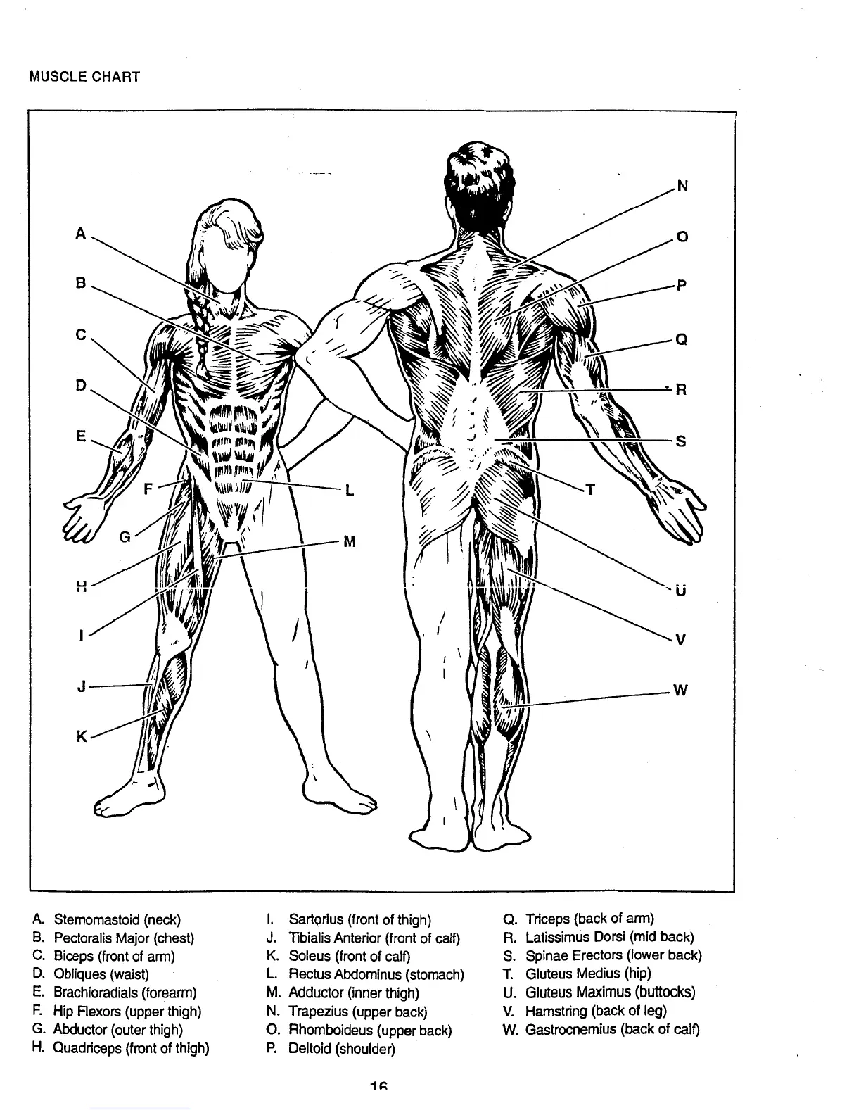 Page #16 background image