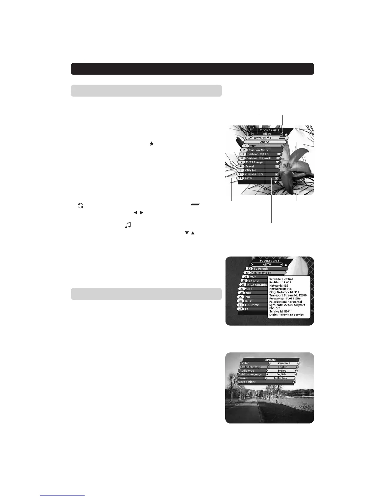 Page #25 background image