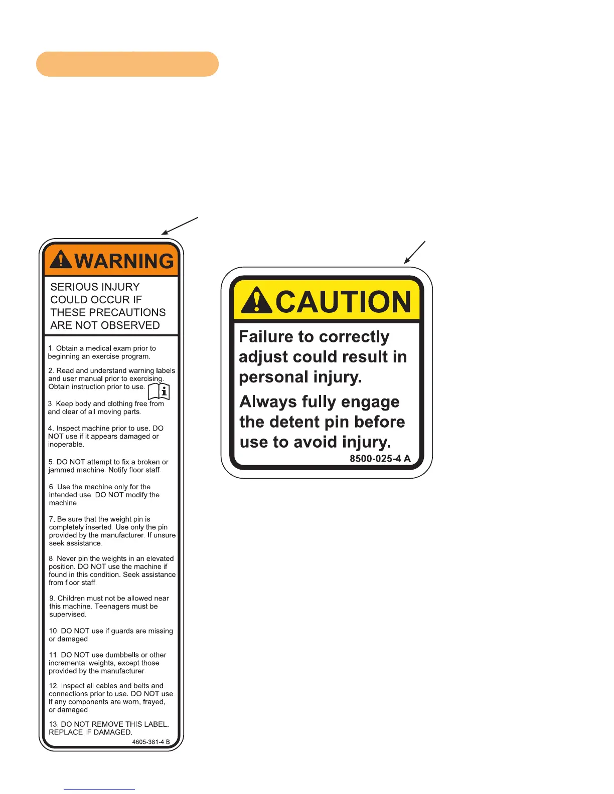 Page #8 background image