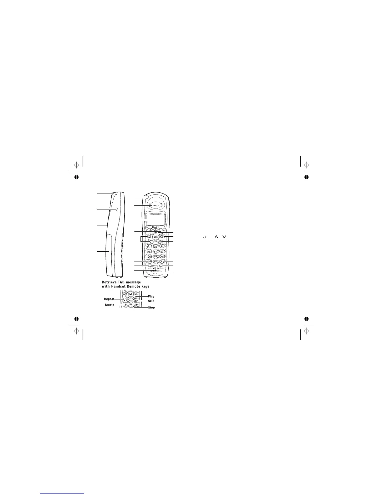Page #5 background image