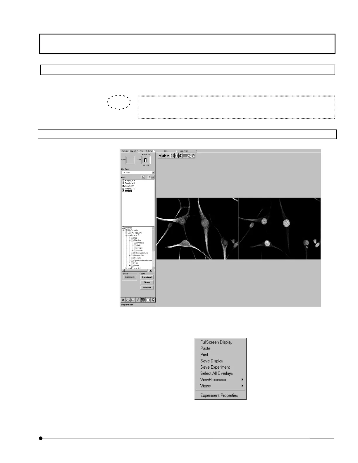 Page #291 background image