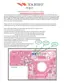 Preview: Modification Instructions
