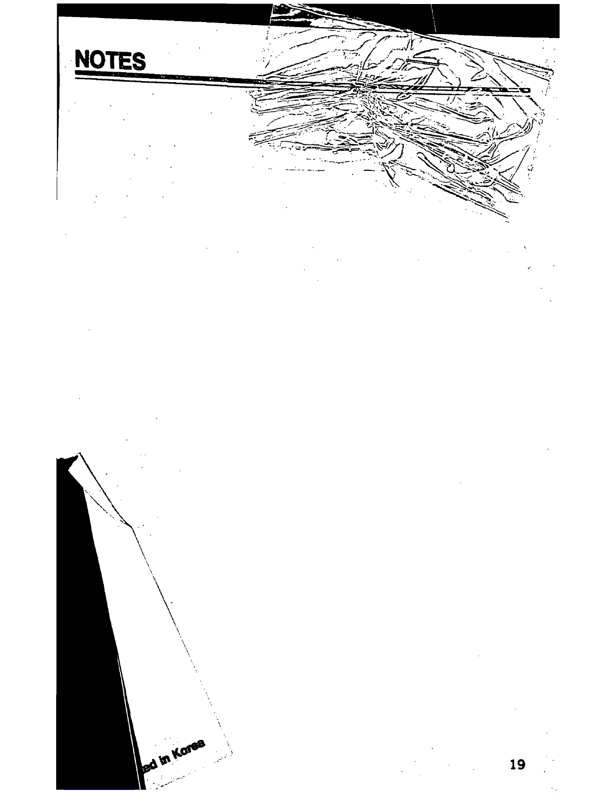 Page #19 background image