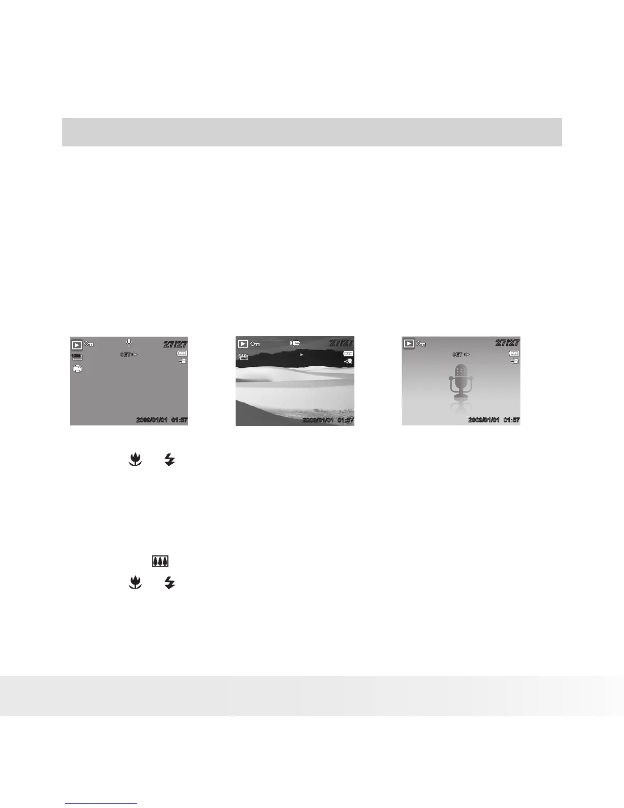 Page #55 background image