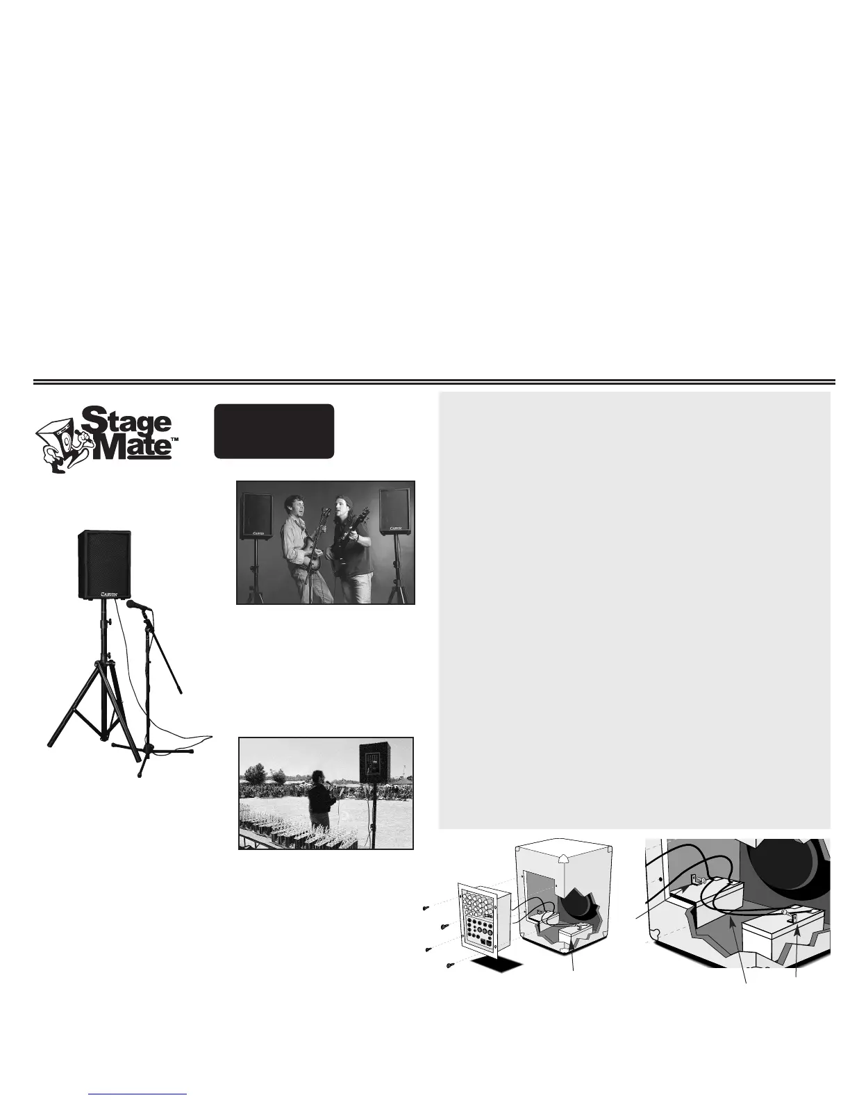 Page #3 background image