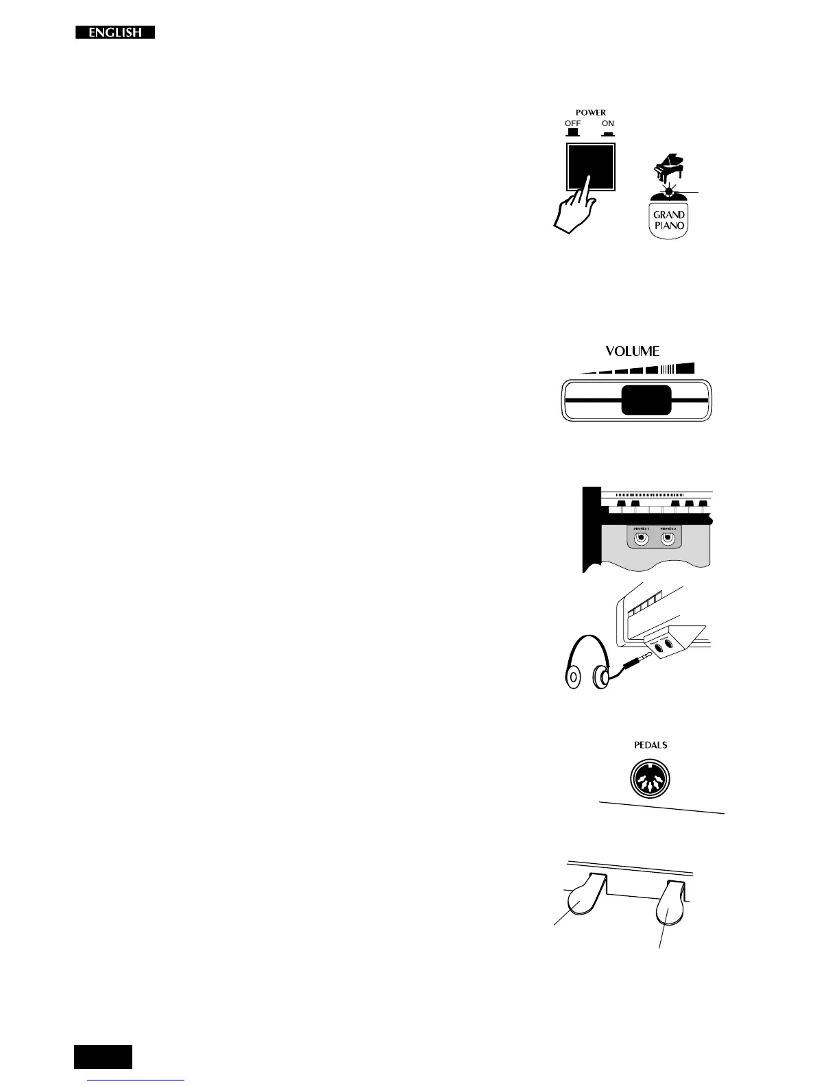 Page #8 background image