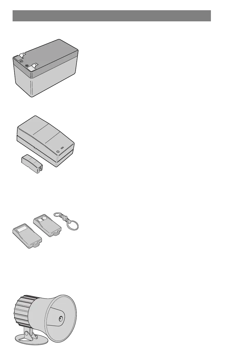 Page #36 background image