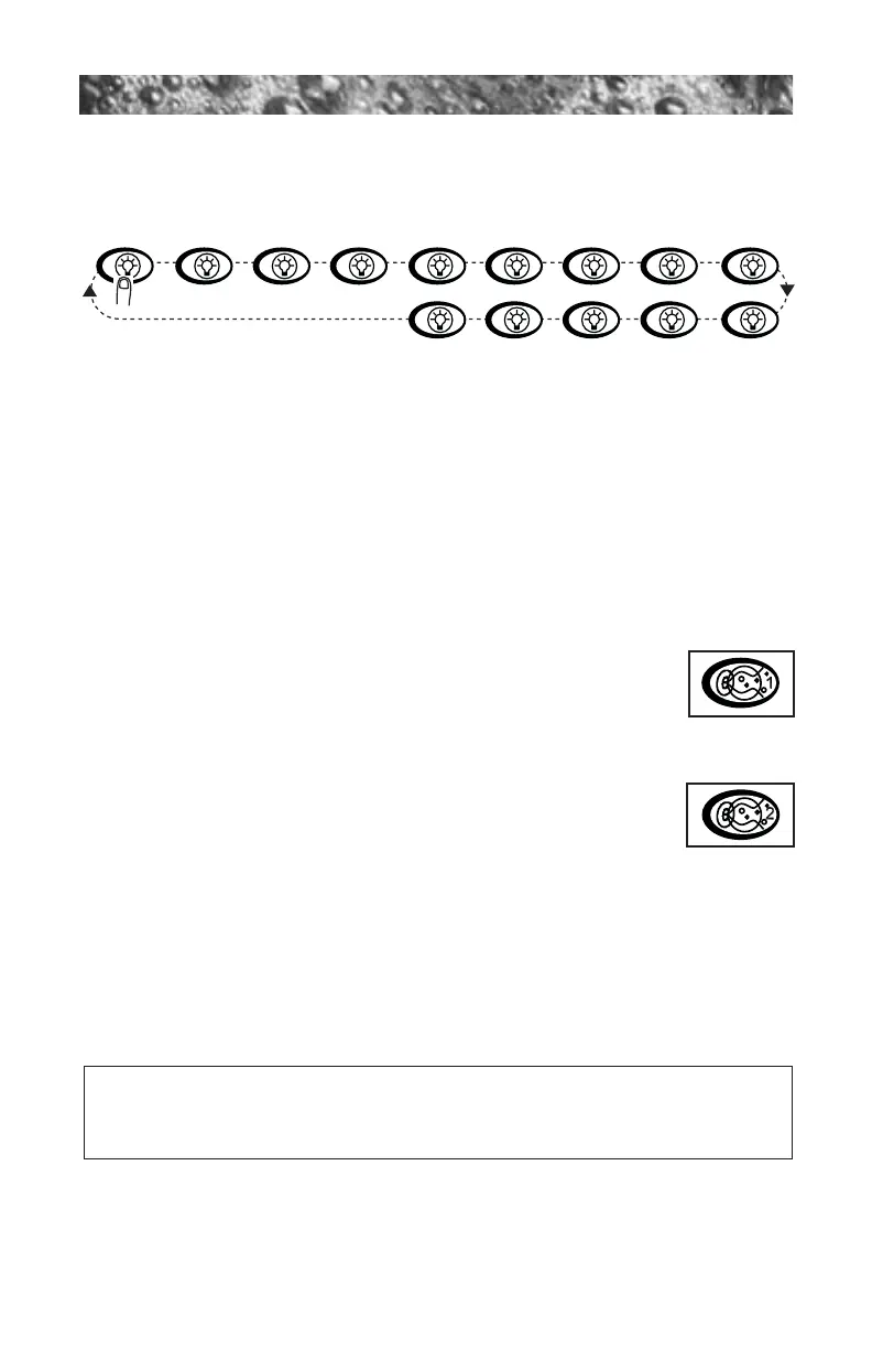 Page #22 background image