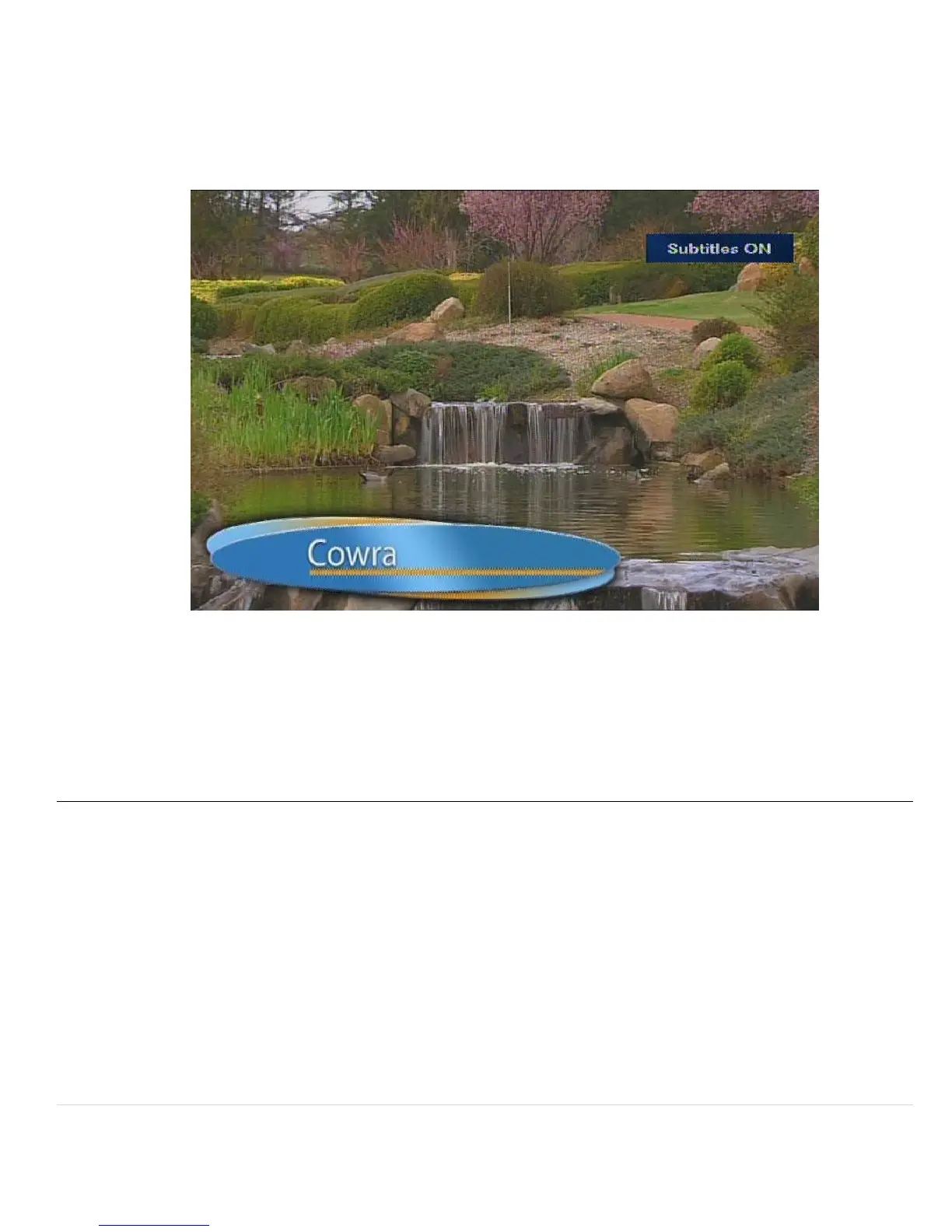 Page #20 background image
