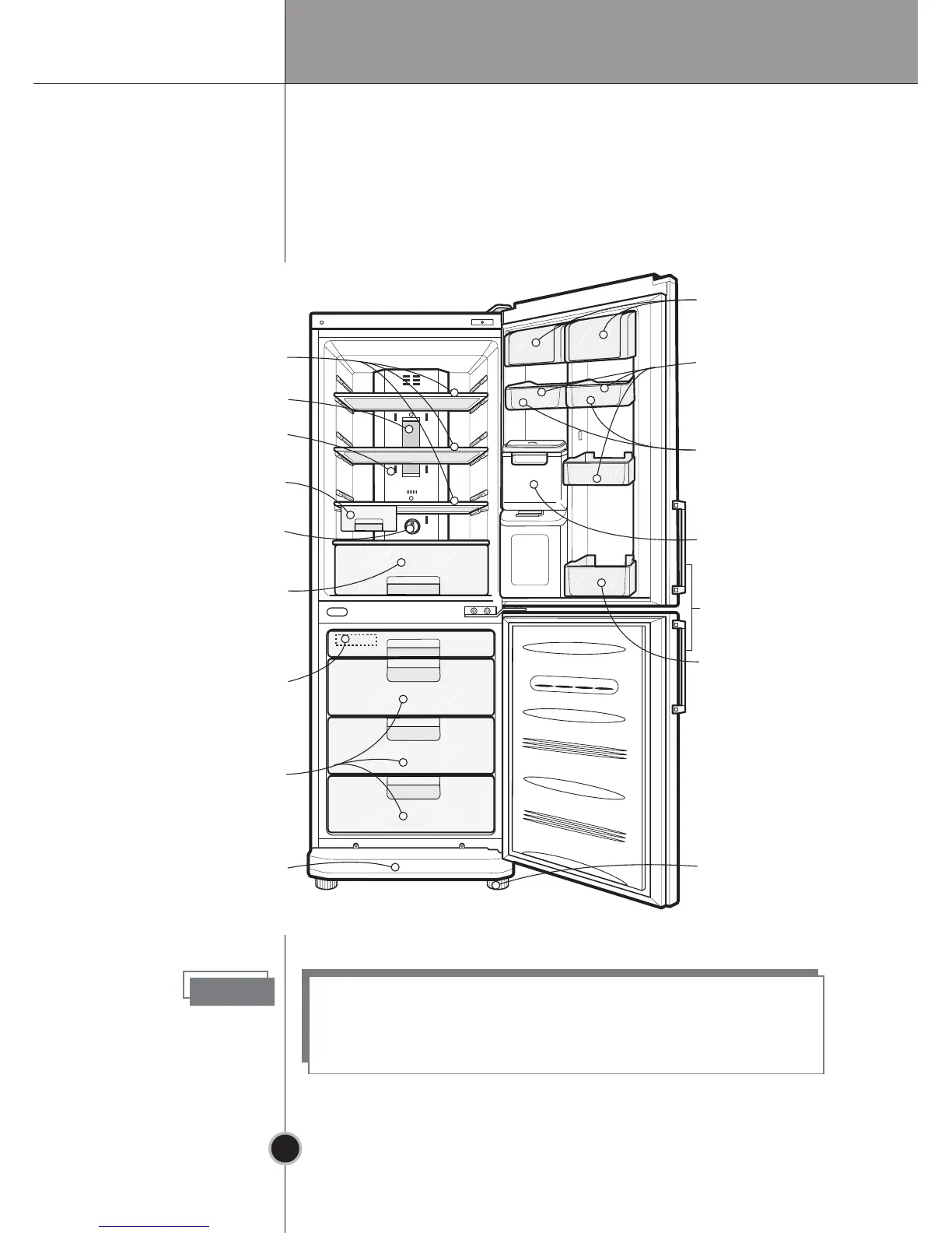 Page #13 background image