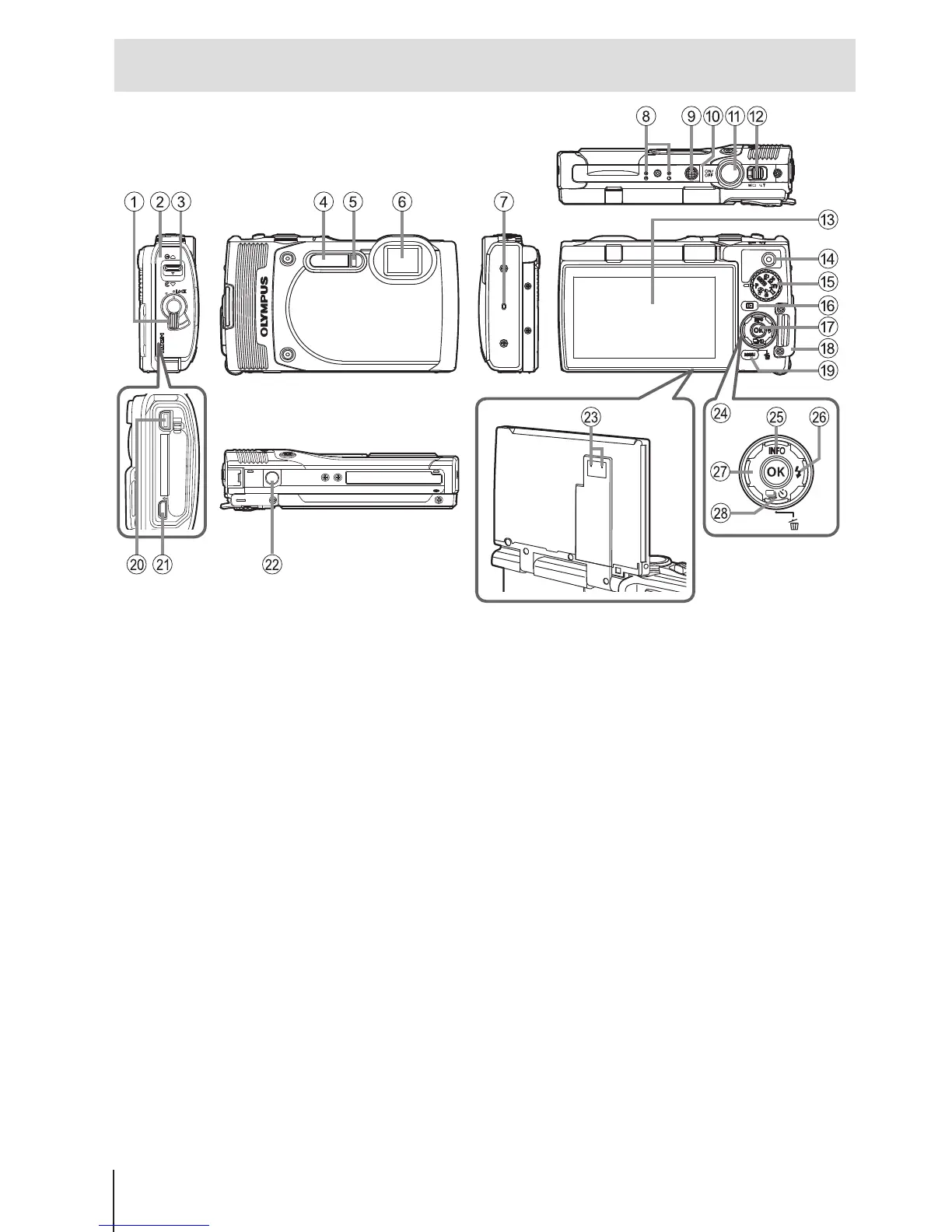 Page #4 background image