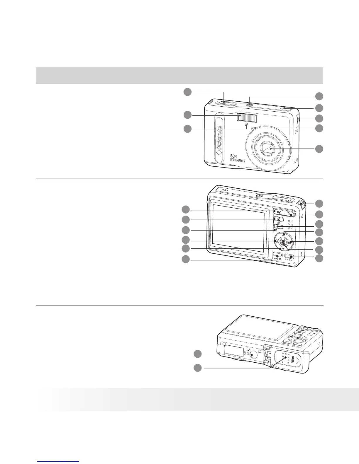 Page #2 background image