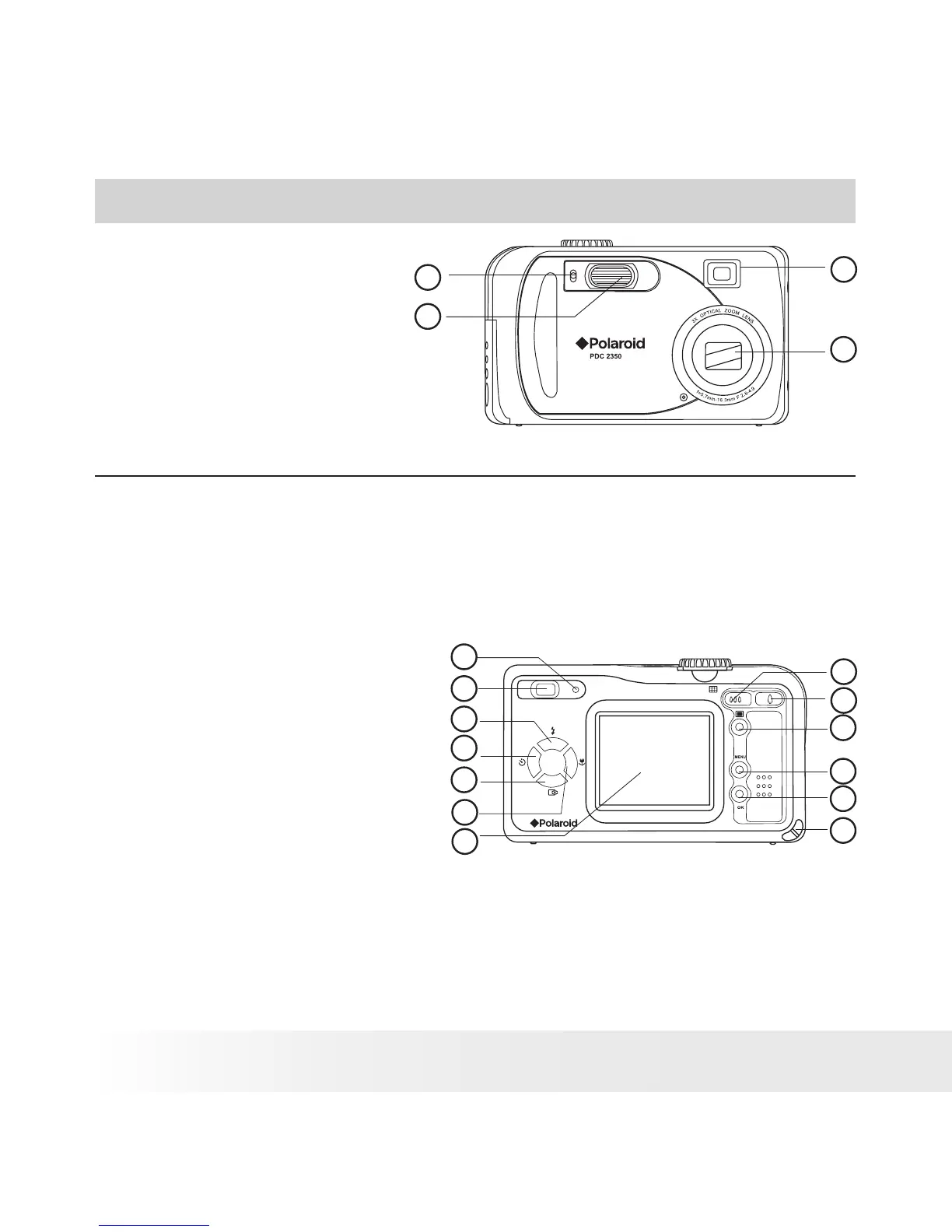 Page #4 background image