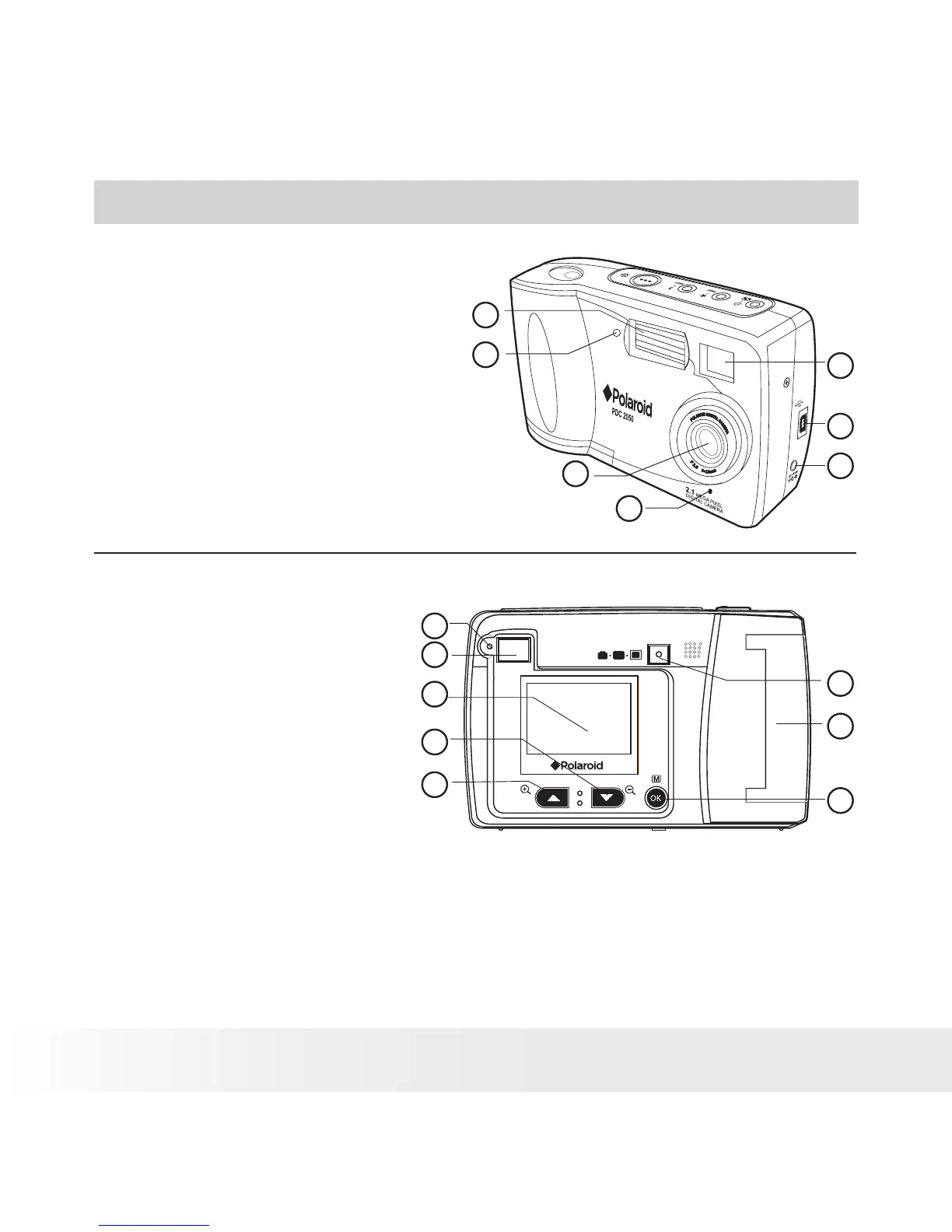 Page #2 background image