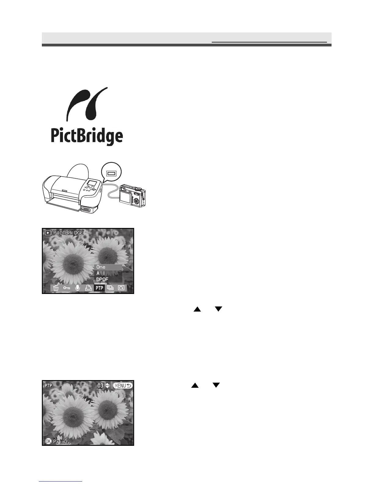 Page #63 background image