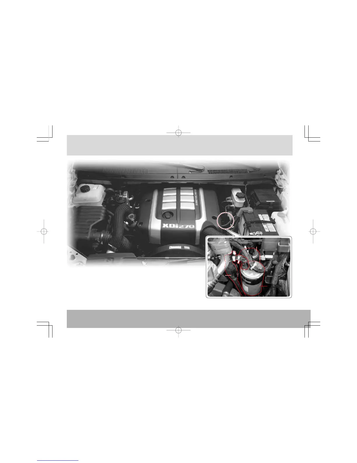 Page #237 background image