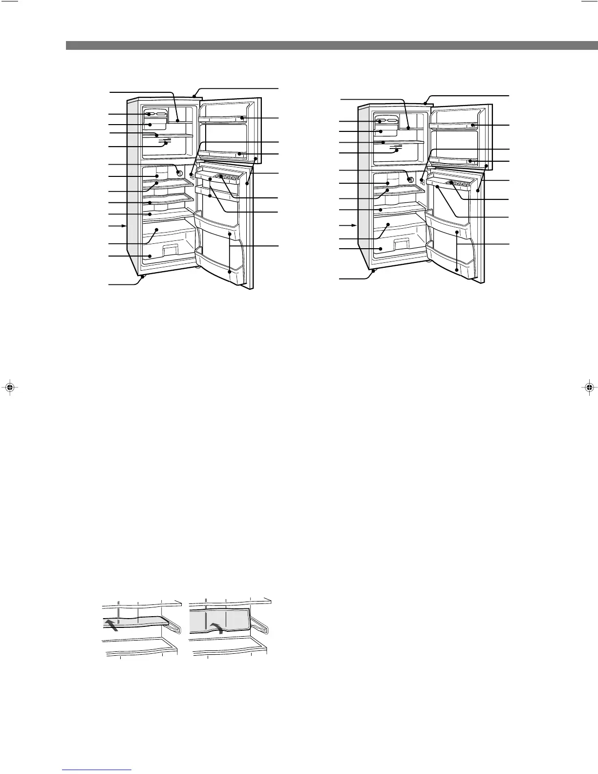 Page #2 background image