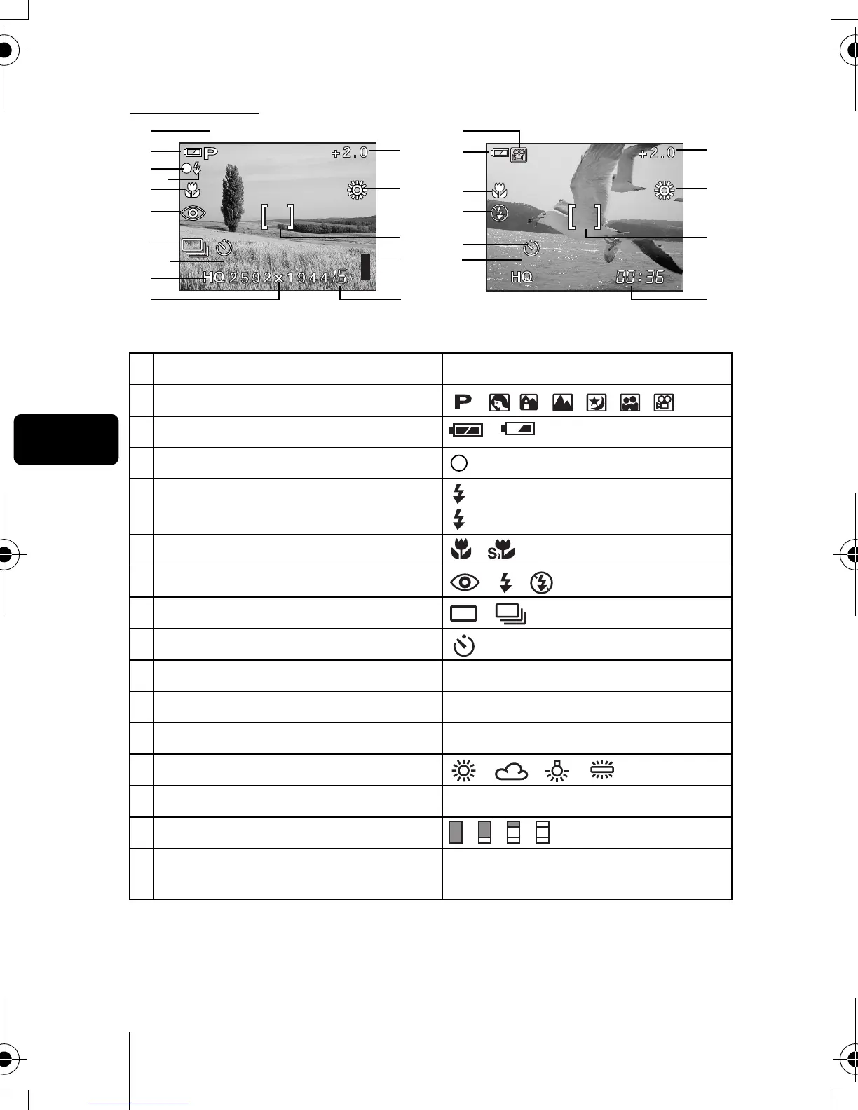 Page #6 background image