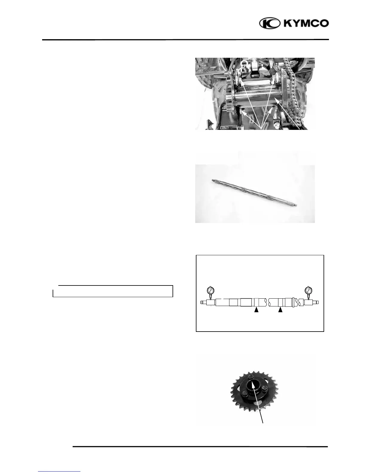 Page #205 background image