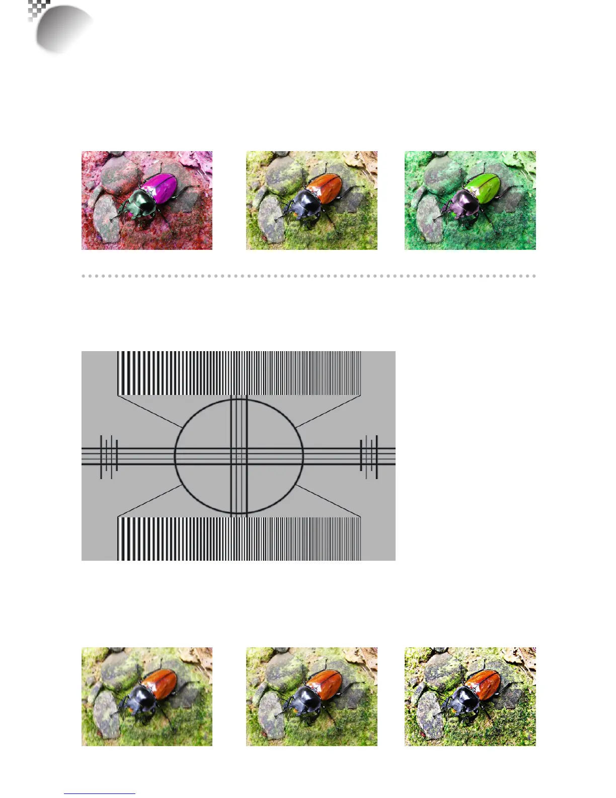 Page #36 background image