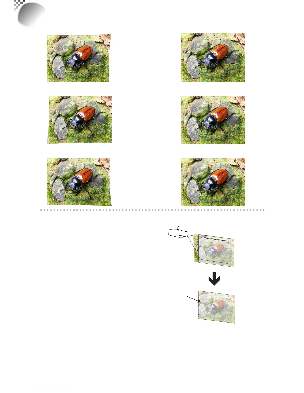 Page #48 background image