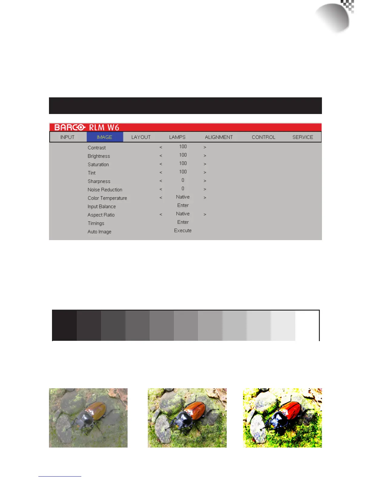 Page #33 background image