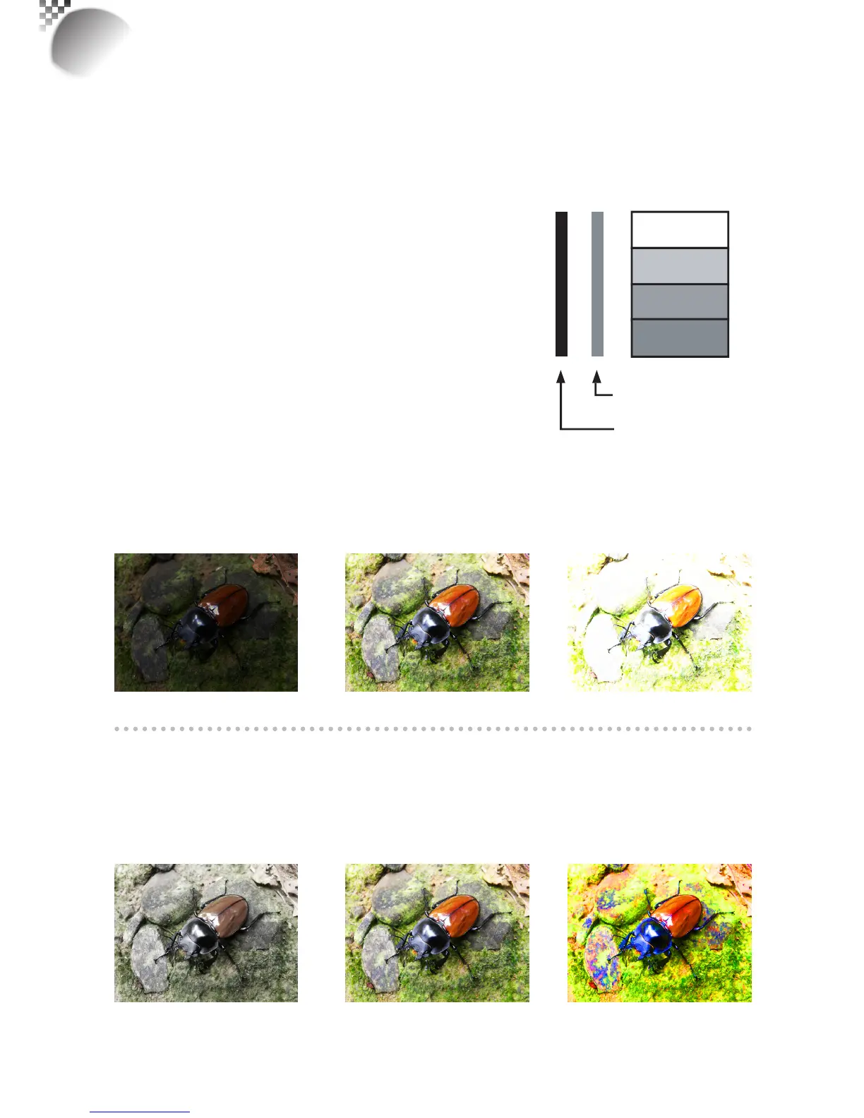 Page #34 background image