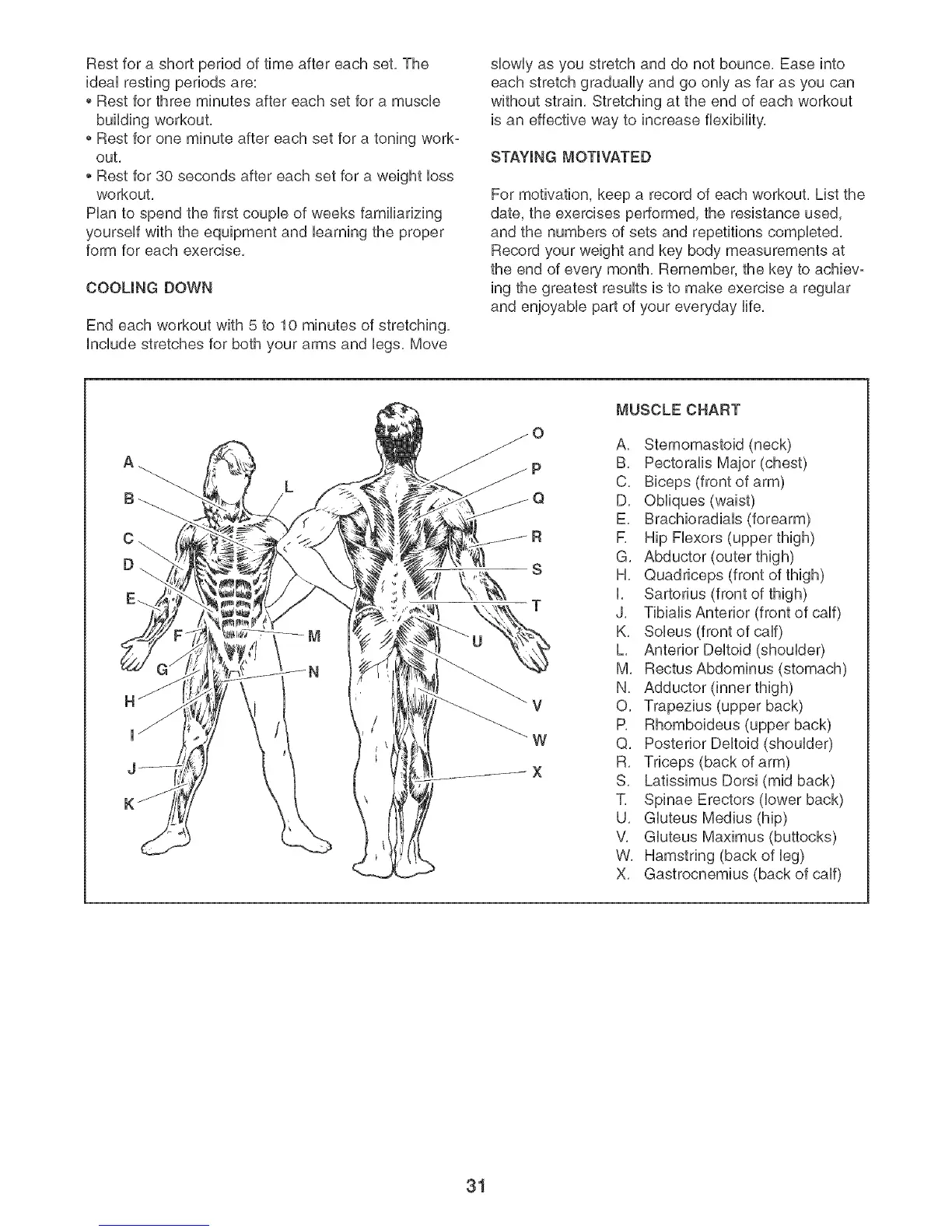 Page #31 background image