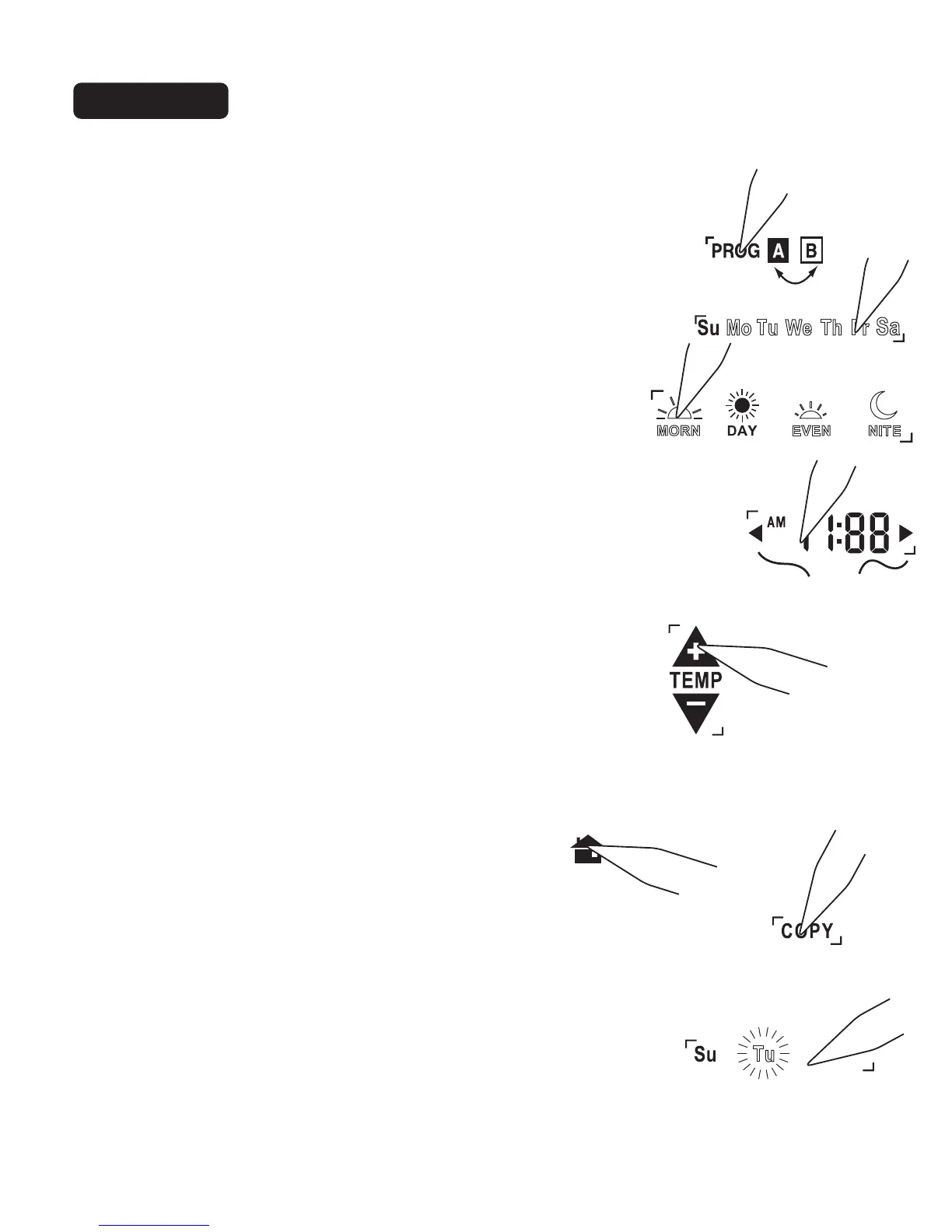Page #5 background image