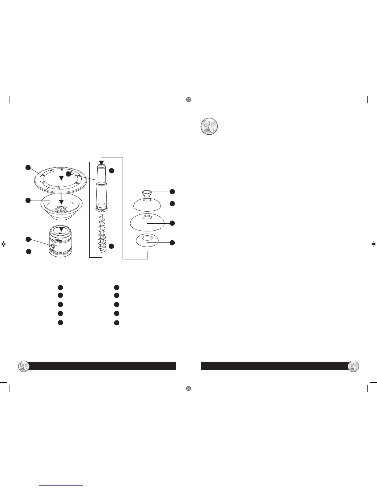 Page #3 background image