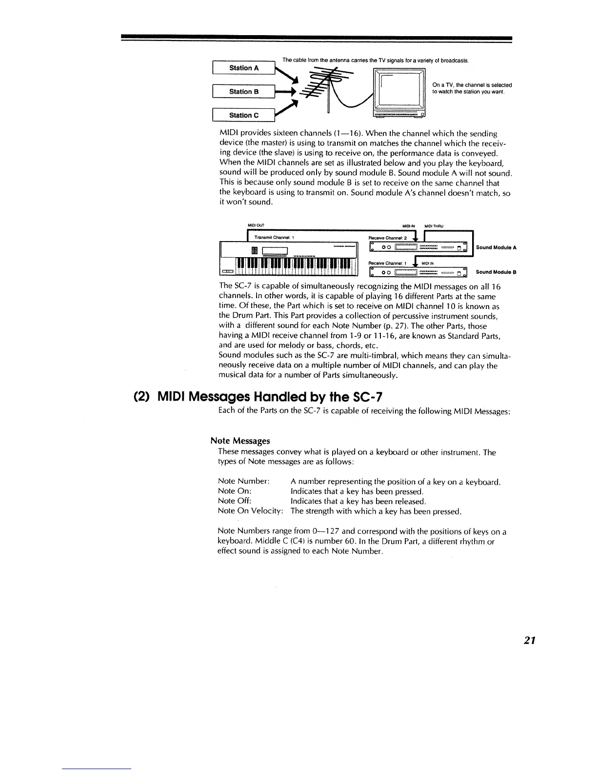 Page #23 background image