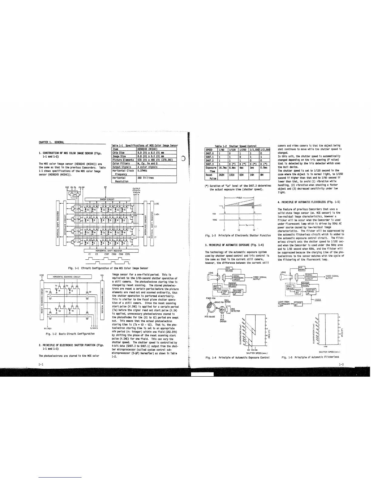 Page #2 background image