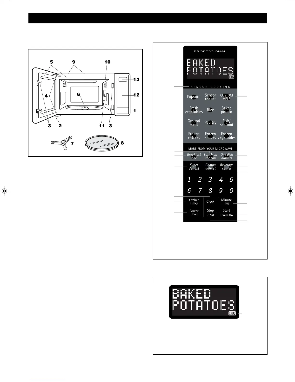 Page #10 background image