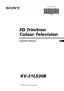 Preview: Instruction Manual