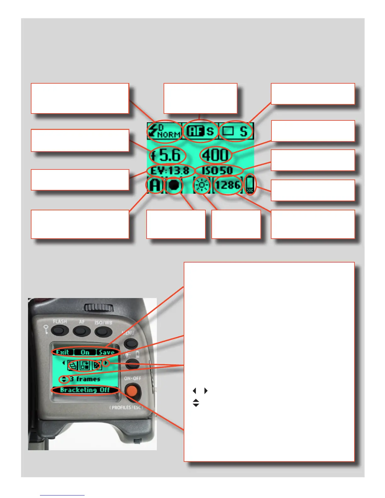 Page #10 background image