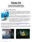 Preview: Tips & Technique Guide