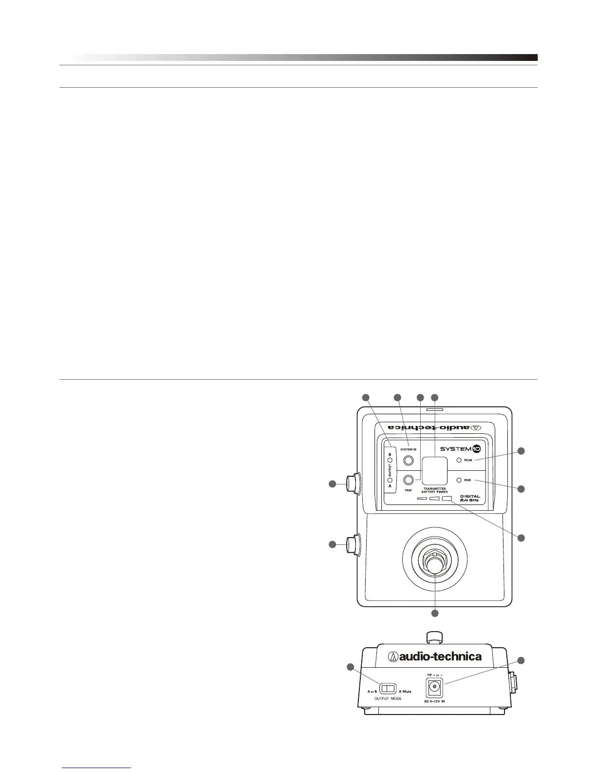 Page #3 background image