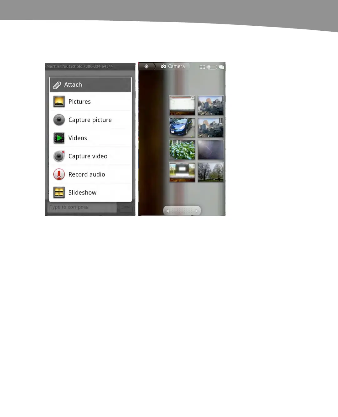 Page #256 background image