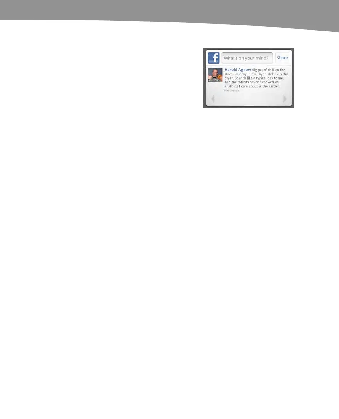 Page #446 background image